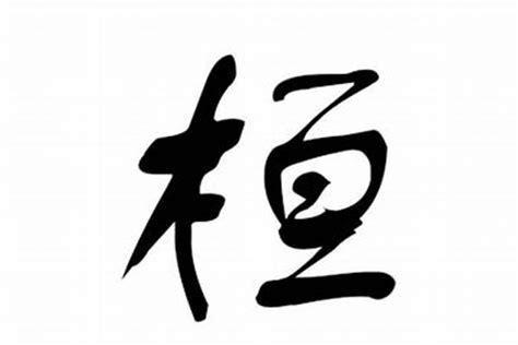 晞 名字|男孩取晞字名字寓意详解，带有晞字的男孩名字大全